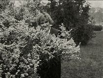 Watch Gambier's Advocate