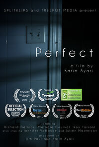 Watch Perfect (Short 2013)