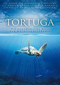 Watch I predatori delle Antille