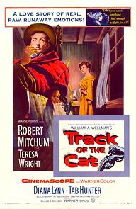 Watch Track of the Cat