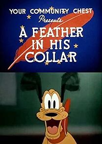 Watch A Feather in His Collar