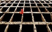 Watch Both (Short 2007)