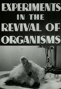 Watch Experiments in the Revival of Organisms (Short 1940)