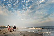 Watch The Kangaroo (Short 2012)