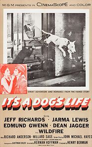 Watch It's a Dog's Life