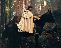 Watch Zelený rytír