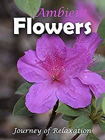 Watch Ambient Flowers: Journey of Relaxation