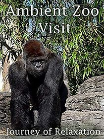 Watch Ambient Zoo Visit