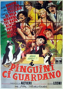 Watch I pinguini ci guardano
