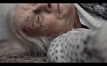 Watch Champagne (Short 2012)