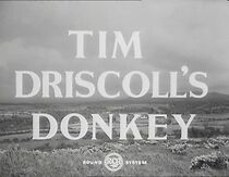 Watch Tim Driscoll's Donkey