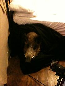 Watch Spring Heeled Jack: A Terrible Devil (Short 2011)