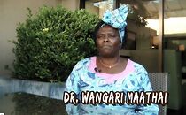 Watch The Challenge for Africa (Short 2009)