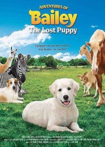 Watch Adventures of Bailey: The Lost Puppy