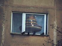 Watch Sinchronizacija (Short 2009)