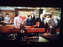 Watch Kirschen in Nachbars Garten