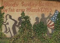 Watch The Black Belt