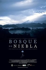 Watch Bosque de Niebla