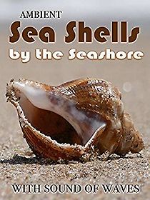 Watch Ambient Sea Shells by the Seashore: With Sound of Waves