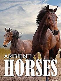 Watch Ambient Horses