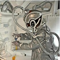 Watch Big Bio (Short 2011)