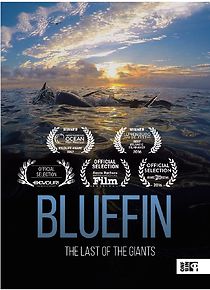 Watch Bluefin