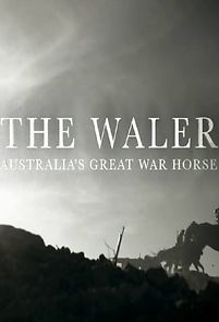 Watch The Waler: Australia's Great War Horse