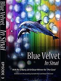 Watch Conflicting Interests