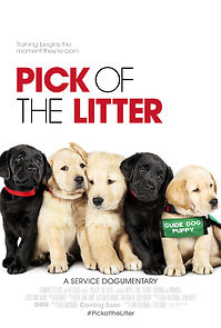 Watch Pick of the Litter
