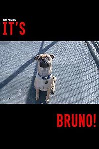 Watch It's Bruno