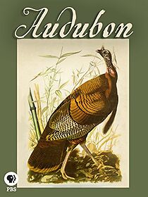 Watch Audubon