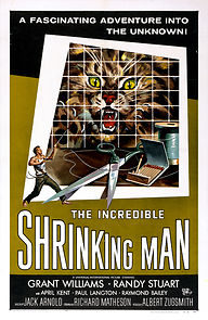 Watch The Incredible Shrinking Man