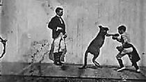 Watch The Boxing Kangaroo (Short 1896)