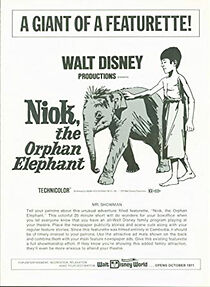 Watch Niok (Short 1957)