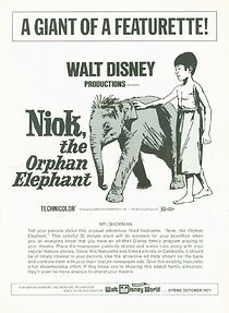 Watch Niok (Short 1957)