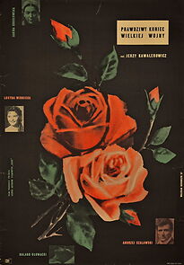 Watch Prawdziwy koniec wielkiej wojny