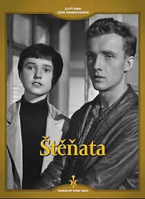 Watch Stenata