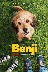 Watch Benji