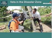 Watch Vets in the Disaster Zone