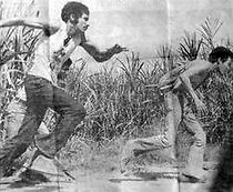 Watch Viacrucis (Short 1978)