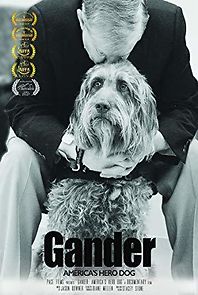 Watch Gander: America's Hero Dog