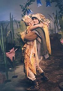 Watch Pohádka z safránové louky