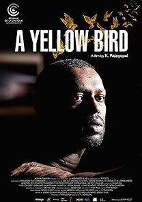 Watch A Yellow Bird