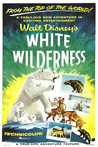 Watch White Wilderness