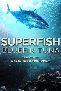 Watch Superfish Bluefin Tuna