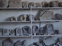 Watch False Start (Short 2015)