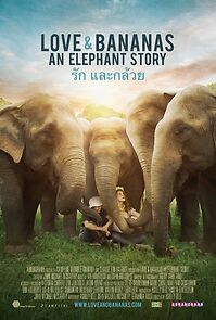 Watch Love & Bananas: An Elephant Story