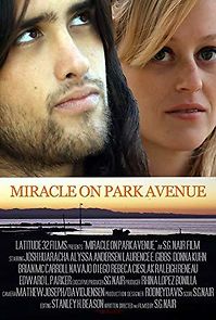 Watch Miracle on Park Avenue