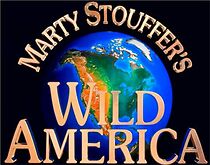 Watch Marty Stouffer's Wild America: The Grouse and the Goshawk