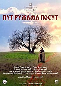 Watch Put Ruzama Posut